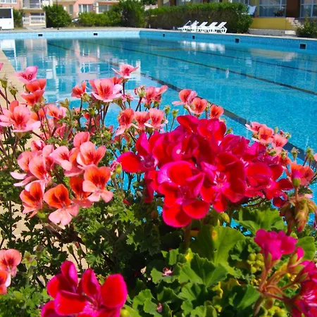 Sunshine Pearl Family Kavarna