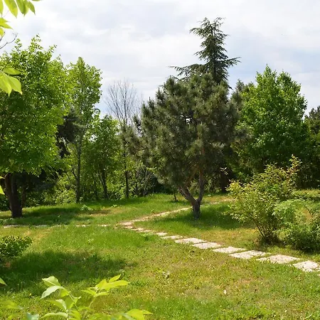 Otel Sunshine Pearl Family Kavarna